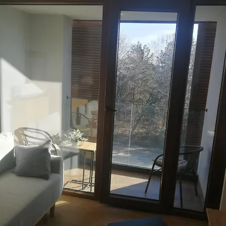 Borovi 2 / 16 Apartman Divcibare